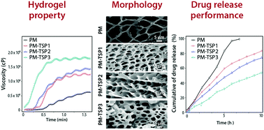 Graphical abstract: Effect of tamarind seed polysaccharide on thermogelation property and drug release profile of poloxamer 407-based ophthalmic formulation