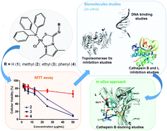 Graphical abstract: Palladium(ii) complexes bearing 1-iminothiolate-3,5-dimethylpyrazoles: synthesis, cytotoxicity, DNA binding and enzymatic inhibition studies