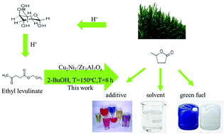 Graphical abstract: Conversion of biomass-derived levulinate esters to γ-valerolactone with a robust CuNi bimetallic catalyst