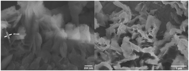 Graphical abstract: Synthesis and characterization of ferrous cysteinate nanoparticles as a promising dietary supplement