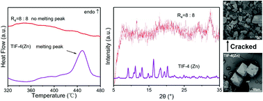 Graphical abstract: Impact of solvent substitution on kinetically controlled transmetalation behaviours in a MOF