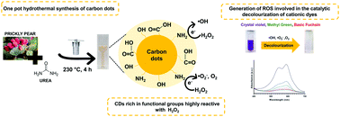 Graphical abstract: Green synthesis of Opuntia-derived carbon nanodots for the catalytic decolourization of cationic dyes