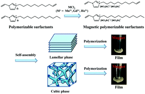 Graphical abstract: Magnetic polymerizable surfactants: thermotropic liquid crystal behaviors and construction of nanostructured films