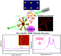 Graphical abstract: Biosynthetically grown dendritic silver nanostructures for visible Surface Enhanced Resonance Raman Spectroscopy (v-SERRS)