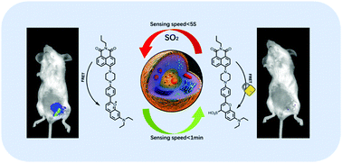 Graphical abstract: Design of a FRET-based fluorescent probe for the reversible detection of SO2 and formaldehyde in living cells and mice