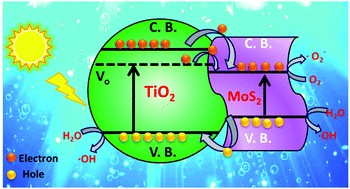 Graphical abstract: Two-dimensional MoS2 nanosheet-modified oxygen defect-rich TiO2 nanoparticles for light emission and photocatalytic applications