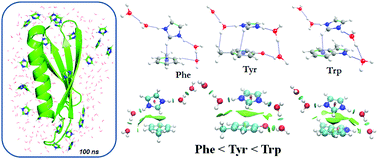 Graphical abstract: Combined DFT and MD simulation studies of protein stability on imidazolium–water (ImH+Wn) clusters with aromatic amino acids