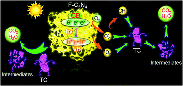 Graphical abstract: Salt-templated synthesis of 3D porous foam-like C3N4 towards high-performance photodegradation of tetracyclines