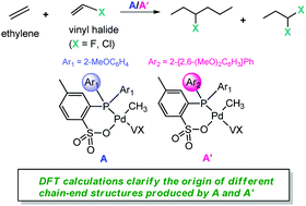 Graphical abstract: Origin of different chain-end microstructures in ethylene/vinyl halide copolymerization catalysed by phosphine–sulfonate palladium complexes