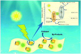 Graphical abstract: Ultrasound-assisted synthesis of BiVO4/C-dots/g-C3N4Z-scheme heterojunction photocatalysts for degradation of minocycline hydrochloride and Rhodamine B: optimization and mechanism investigation