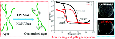 Graphical abstract: Synthesis and characterization of quaternized agar in KOH/urea aqueous solution