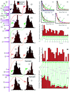 Graphical abstract: Determination of the correlation between the structure and dynamics of deflazacort by solid state NMR measurements