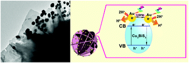 Graphical abstract: A facile strategy for fabricating particle-on-flower Au-Cu3BiS3 nanostructures for enhanced photoelectrocatalytic activity in water splitting