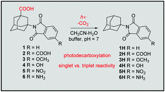 Graphical abstract: Photophysical properties and electron transfer photochemical reactivity of substituted phthalimides