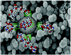 Graphical abstract: A supramolecular cavitand for selective chromatographic separation of peptides using LC-MS/MS: a combined in silico and experimental approach