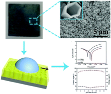 Graphical abstract: Robust multi-functional slippery surface with hollow ZnO nanotube structures