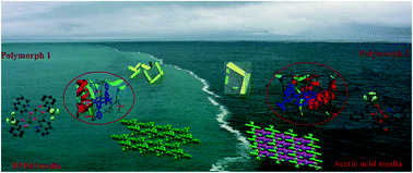 Graphical abstract: Solvent induced mononuclear and dinuclear mixed ligand Cu(ii) complex: structural diversity, supramolecular packing polymorphism and molecular docking studies