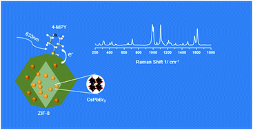Graphical abstract: The surface-enhanced Raman scattering of all-inorganic perovskite quantum dots of CsPbBr3 encapsulated in a ZIF-8 metal–organic framework