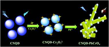 Graphical abstract: Interesting photoluminescence behaviour in graphitic carbon nitride quantum dots attached to PbCrO4 colloidal nanostructures