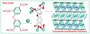 Graphical abstract: Introducing a flexible tetracarboxylic acid linker into functional coordination polymers: synthesis, structural traits, and photocatalytic dye degradation