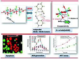 Graphical abstract: Oxalato bridged coordination polymer of manganese(iii) involving unconventional O⋯π-hole(nitrile) and antiparallel nitrile⋯nitrile contacts: antiproliferative evaluation and theoretical studies