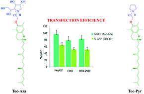 Graphical abstract: Dramatic influence of the hydroxy functionality of azasugar moiety in the head group region of tocopherol-based cationic lipids on in vitro gene transfection efficacies