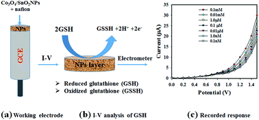 Graphical abstract: A reliable alternative approach for the ultra-sensitive detection of l-glutathione with wet chemically synthesized Co3O4-doped SnO2 nanoparticles decorated on a glassy carbon electrode