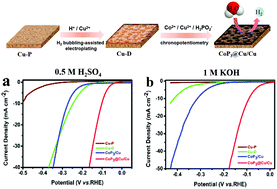 Graphical abstract: Coralline-like CoP3@Cu as an efficient electrocatalyst for the hydrogen evolution reaction in acidic and alkaline solutions