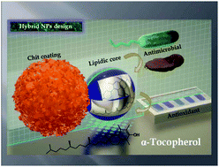 Graphical abstract: Effect of α-tocopherol on the physicochemical, antioxidant and antibacterial properties of levofloxacin loaded hybrid lipid nanocarriers