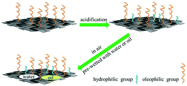 Graphical abstract: Synthesis of an amphibious superamphiphilic carbon-based materials with unique properties