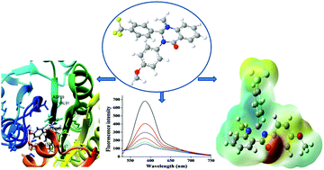 Graphical abstract: Investigation of biological activity of 2,3-disubstituted quinazolin-4(1H)-ones against Mycobacterium tuberculosis and DNA via docking, spectroscopy and DFT studies