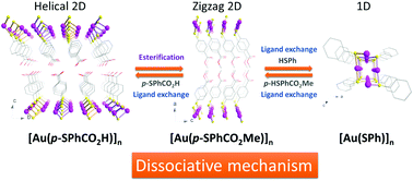 Graphical abstract: Post-synthetic functionalization and ligand exchange reactions in gold(i) phenylthiolate-based coordination polymers