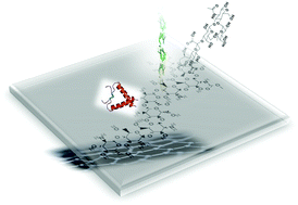 Graphical abstract: Needle stochastic sensors for on-site fast recognition and quantification of biomarkers for gastric cancer in biological samples