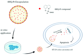 Graphical abstract: 8-Hydroxyquinoline platinum(ii) loaded nanostructured lipid carriers: synthesis, physicochemical characterization and evaluation of antitumor activity