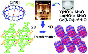 Graphical abstract: Yttrium and lanthanide (Ln = La and Gd) complexes with cucurbit[10]uril: crystals transforming from supramolecular frameworks to coordination nanotubes