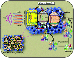 Graphical abstract: Magnetic separable zeolite-type ZSM-5/CdS nanorods/MoS2 nanoflowers/MnFe2O4 quaternary nanocomposites: synthesis and application of sonocatalytic activities