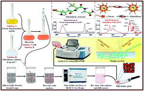 Graphical abstract: A simple and convenient dry-state SEIRS method for glutathione detection based on citrate functionalized silver nanoparticles in human biological fluids