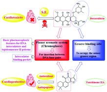 Graphical abstract: Tanshinone IIA synergistically enhances the antitumor activity of doxorubicin by interfering with the PI3K/AKT/mTOR pathway and inhibition of topoisomerase II: in vitro and molecular docking studies