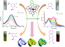 Graphical abstract: An insight into the molecular structures, theoretical calculation and catalytic activities of novel heterotrinuclear [CuII2CeIII] and heterohexanuclear [CuII4YIII2] bis(salamo)-based complexes