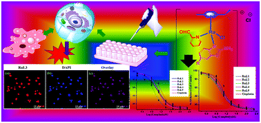 Graphical abstract: Ruthenium(ii) p-cymene complexes of pyridine-2-carboxaldehyde and 2-amino benzothiazole-based ligands: cytoselective and in vitro live cell imaging agents