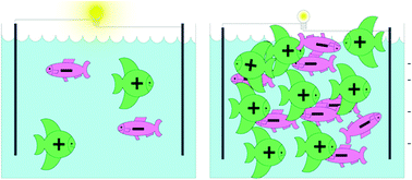 Graphical abstract: Effects of repeat unit charge density on the physical and electrochemical properties of novel heterocationic poly(ionic liquid)s