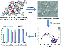 Graphical abstract: Proton conductivity studies on five isostructural MOFs with different acidity induced by metal cations