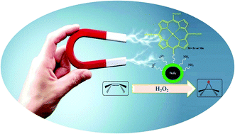 Graphical abstract: Magnetically recoverable porphyrin-based nanocatalysts for the effective oxidation of olefins with hydrogen peroxide: a comparative study