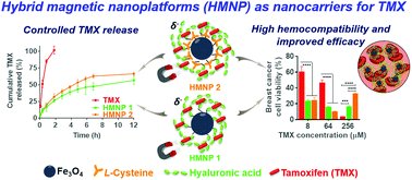 Graphical abstract: Promising tamoxifen-loaded biocompatible hybrid magnetic nanoplatforms against breast cancer cells: synthesis, characterization and biological evaluation