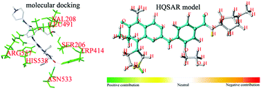 Graphical abstract: Drug design and molecular docking simulations of Polo-like kinase 1 inhibitors based on QSAR study