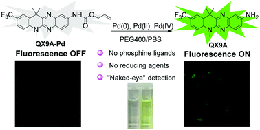 Graphical abstract: A fluorescent probe based on novel fused four ring quinoxalinamine for palladium detection and bio-imaging