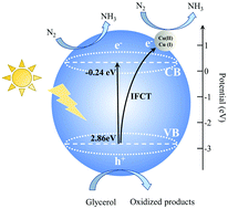 Graphical abstract: Photocatalytic nitrogen fixation on transition metal modified TiO2 nanosheets under simulated sunlight
