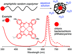 Graphical abstract: Aqueous solubilization of hydrophobic tetrapyrrole macrocycles by attachment to an amphiphilic single-chain nanoparticle (SCNP)