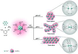 Graphical abstract: Structure-dependent luminescent copper nanoclusters: self-assembly and morphological evolution