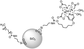 Graphical abstract: Surface engineering of silica nanoparticles with a gadolinium–PCTA complex for efficient T1-weighted MRI contrast agents